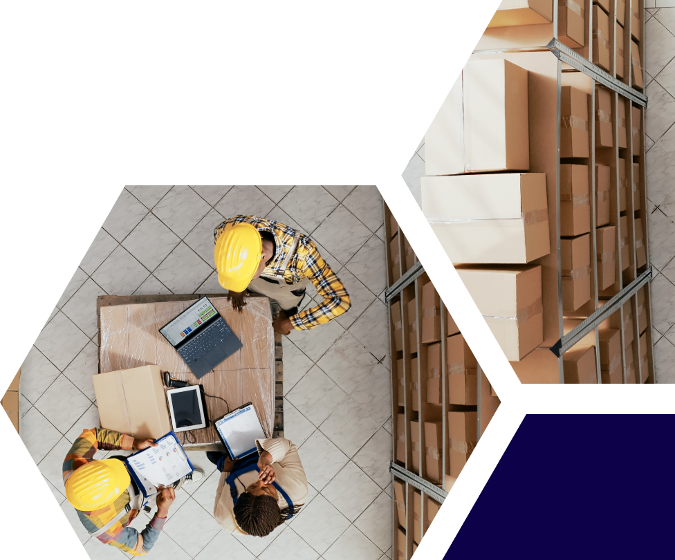 Onelign Traceability